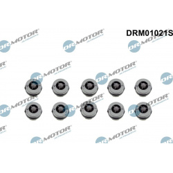 Buferis, variklio dangtis
                                Dr.Motor Automotive                                                