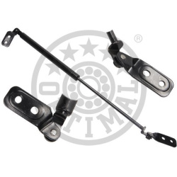 dujinė spyruoklė, bagažinė
                                OPTIMAL                                                AG-4013