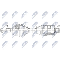pusašis
                                NTY                                                NPW-PL-146, NTY, NPW-PL-146, auto