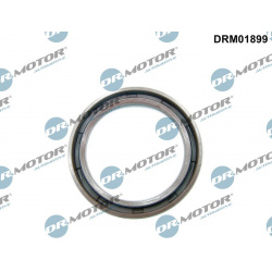 Dr.Motor Automotive                                                DRM01899, Dr.Motor Automotive, DRM01899, auto detalė