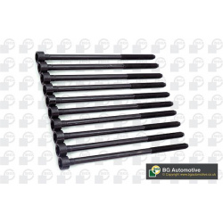 varžtų kompl., cil. galvutės varžtai
                                BGA                                BK4357, BGA, BK43