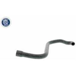 žarna, vožtuvo dangtelio alsuoklis Original VAICO Quality
                                                V20-2080, Nenurod