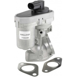ERG vožtuvas
                                BorgWarner (Wahler)                                                710925R, Bor