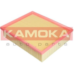 Filtras oro
                                KAMOKA                                F221801, KAMOKA, F221801, auto detalė