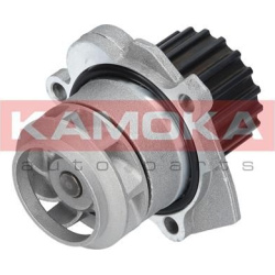 Vandens siurblys, variklio aušinimas
                                KAMOKA                                T0253, KAMOKA, T0