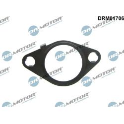 tarpiklis, EGR vožtuvas
                                Dr.Motor Automotive                                DRM01706, Dr.Moto