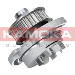 Vandens siurblys, variklio aušinimas
                                KAMOKA                                T0254, KAMOKA, T0