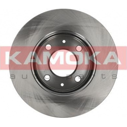 stabdžių diskas (1vnt)
                                KAMOKA                                1031093, KAMOKA, 1031093, auto