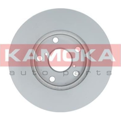 stabdžių diskas (1vnt)
                                KAMOKA                                1031100, KAMOKA, 1031100, auto