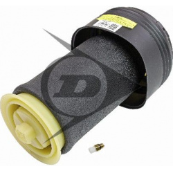 pneumatinė spyruoklė, pakaba Dunlop Original spare part
                                AIC                                