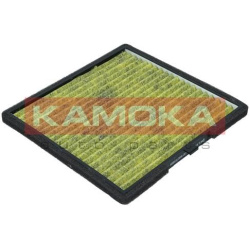 filtras, salono oras
                                KAMOKA                                6080131, KAMOKA, 6080131, auto det