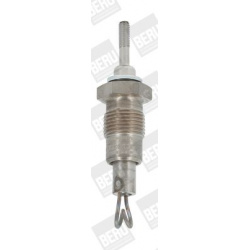 kaitinimo žvakė
                                BorgWarner (BERU)                                                GD318, Bor