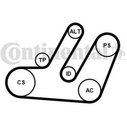 V formos rumbuotas diržas, komplektas
                                CONTINENTAL CTAM                                      