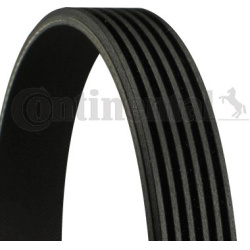 V formos rumbuoti diržai
                                CONTINENTAL CTAM                                6PK1555, CONTINENTA
