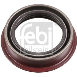 veleno sandariklis, diferencialas
                                FEBI BILSTEIN                                              