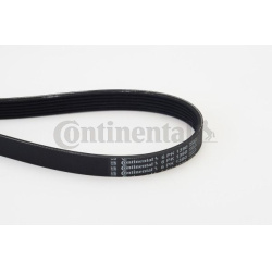 V formos rumbuoti diržai
                                CONTINENTAL CTAM                                                6PK