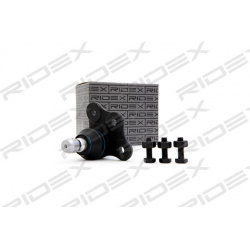 Šarnyras
                                RIDEX                                                2462S0007, Nenurodytas gaminto