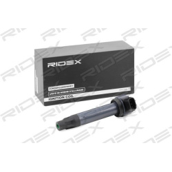 ritė, uždegimas
                                RIDEX                                                689C0324, Nenurodytas 