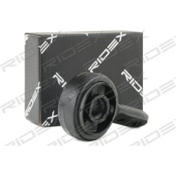 sailentblokas
                                RIDEX                                                251T0173, Nenurodytas gami