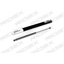 dujinė spyruoklė, bagažinė
                                RIDEX                                219G0112, Nenurodytas gam