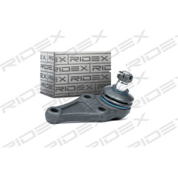 Šarnyras
                                RIDEX                                                2462S0155, Nenurodytas gaminto