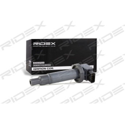 ritė, uždegimas
                                RIDEX                                                689C0059, Nenurodytas 