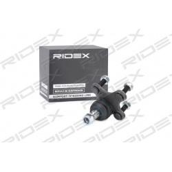 Šarnyras
                                RIDEX                                                2462S0042, Nenurodytas gaminto