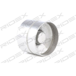 svirtis/kumštelis
                                RIDEX                                                1216R0006, Nenurodyta