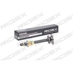 pusašis
                                RIDEX                                                13D0036, Nenurodytas gamintojas