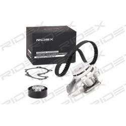 vandens siurblio ir paskirstymo diržo komplektas
                                RIDEX                                      