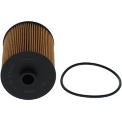Alyvos filtras
                                BOSCH                                                F 026 407 320, BOSCH, F02