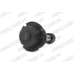 Šarnyras
                                RIDEX                                2462S0038, Nenurodytas gamintojas, 2462S0038, 