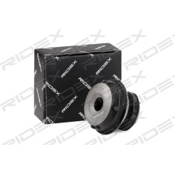 sailentblokas
                                RIDEX                                                251T0163, Nenurodytas gami