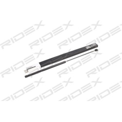 dujinė spyruoklė, gaubtas
                                RIDEX                                514G0037, Nenurodytas gamint