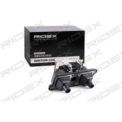 ritė, uždegimas
                                RIDEX                                                689C0217, Nenurodytas 