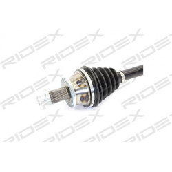 pusašis
                                RIDEX                                                13D0081, Nenurodytas gamintojas