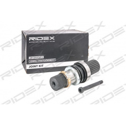 pusašis
                                RIDEX                                                13D0181, Nenurodytas gamintojas