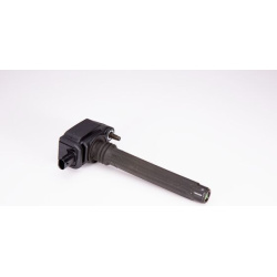 ritė, uždegimas
BOSCH 0 221 504 048, BOSCH,