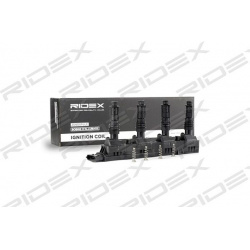 ritė, uždegimas
                                RIDEX                                689C0101, Nenurodytas gamintojas, 689C