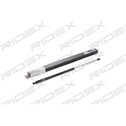Dujinė spyruoklė, gaubtas
                                RIDEX                                                514G0035, Ne