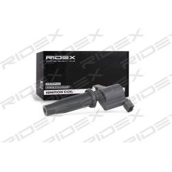 ritė, uždegimas
                                RIDEX                                                689C0034, Nenurodytas 