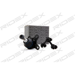 Šarnyras
                                RIDEX                                2462S0040, Nenurodytas gamintojas, 2462S0040, 