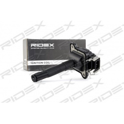 ritė, uždegimas
                                RIDEX                                                689C0008, Nenurodytas 