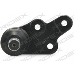 Šarnyras
                                RIDEX                                2462S0437, Nenurodytas gamintojas, 2462S0437, 