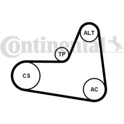 V formos rumbuotas diržas, komplektas
                                CONTINENTAL CTAM                                      