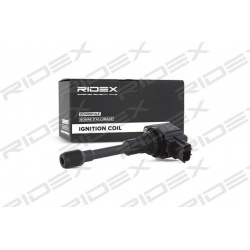 ritė, uždegimas
                                RIDEX                                689C0082, Nenurodytas gamintojas, 689C