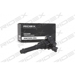 ritė, uždegimas
                                RIDEX                                                689C0153, Nenurodytas 