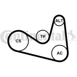 V formos rumbuotas diržas, komplektas
                                CONTINENTAL CTAM                                      