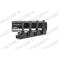 ritė, uždegimas
                                RIDEX                                                689C0011, Nenurodytas 