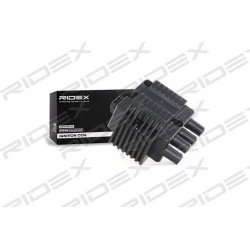 ritė, uždegimas
                                RIDEX                                689C0149, Nenurodytas gamintojas, 689C